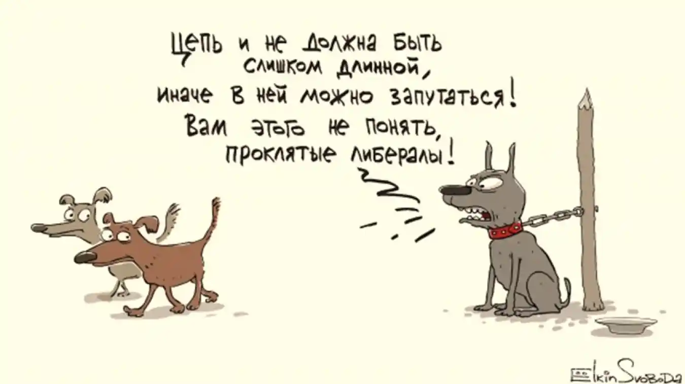 Политические реформы