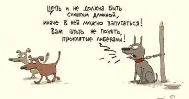 Политические реформы