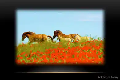 Ботайская культура всадников