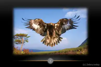 Поверь в свой полет и Вечное синее небо 