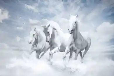 Казахстан как либеральный полюс в Евразийском экономическом союзе