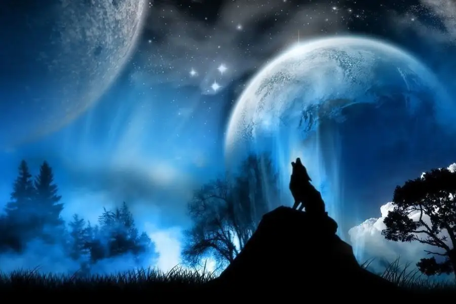 Алаш пен бөрі сөзі синонимдік мағыналас сөздер