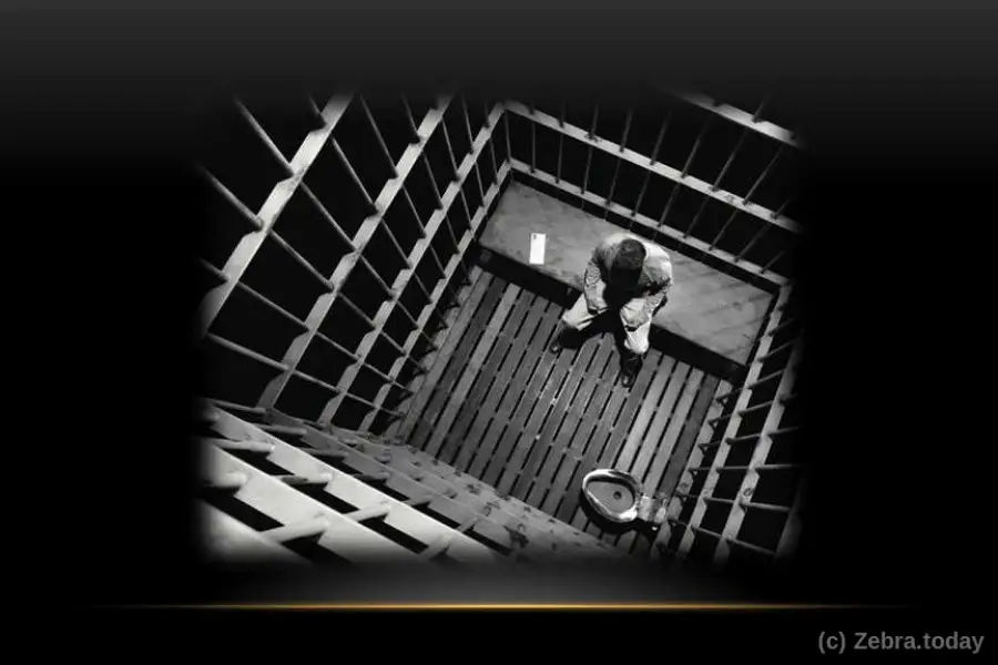 Иллюзия свободы