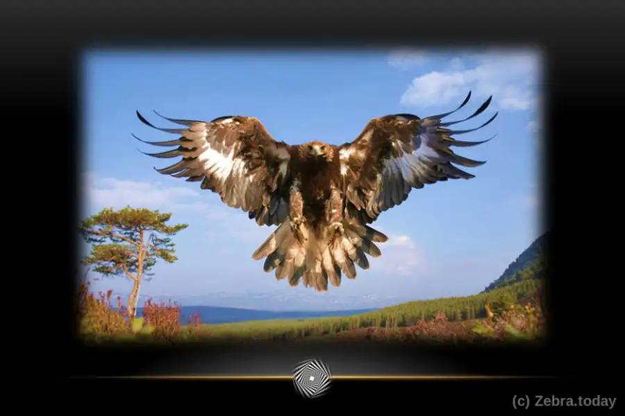 Поверь в свой полет и Вечное синее небо 