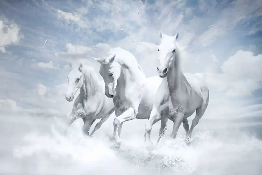 Казахстан как либеральный полюс в Евразийском экономическом союзе