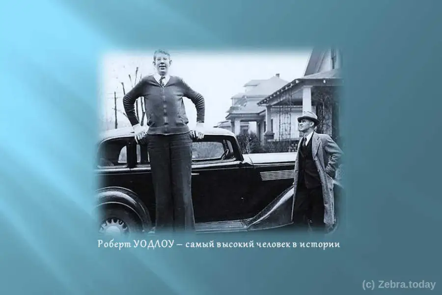 Роберт УОДЛОУ